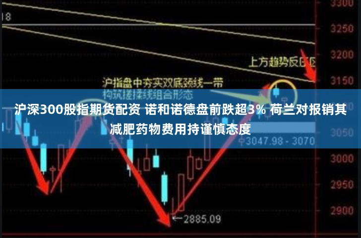 沪深300股指期货配资 诺和诺德盘前跌超3% 荷兰对报销其减肥药物费用持谨慎态度